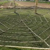 Pumpkin Days & Corn Maze at Tolmachoff Farms photo