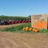 Pumpkin Days & Corn Maze at Tolmachoff Farms photo