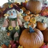 Pumpkin Days & Corn Maze at Tolmachoff Farms photo