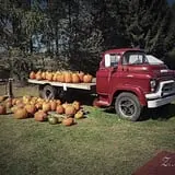 Sand Flats Orchard photo