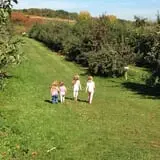 Sand Flats Orchard photo