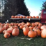 Sand Flats Orchard photo