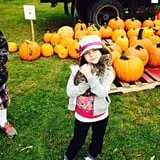Sand Flats Orchard photo