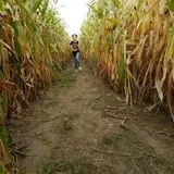 Sand Flats Orchard photo