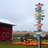 Sand Flats Orchard photo