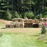 Weston's Farm photo