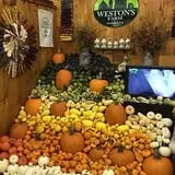 Weston's Farm photo