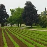 Weston's Farm photo