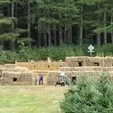 Weston's Farm photo