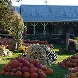 Weston's Farm photo