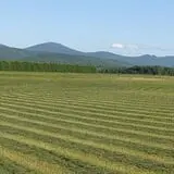 Weston's Farm photo