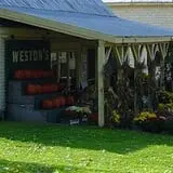 Weston's Farm photo