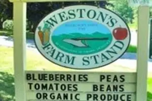 Weston's Farm