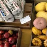 Tender Soles Farm photo