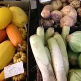 Tender Soles Farm photo