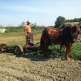 Tender Soles Farm photo