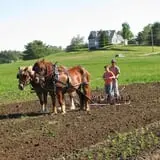 Tender Soles Farm photo