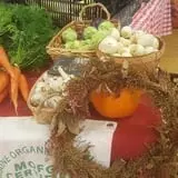 Tender Soles Farm photo