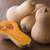 Tender Soles Farm photo