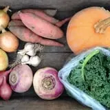 Tender Soles Farm photo