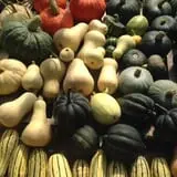 Tender Soles Farm photo