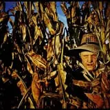 Field of Screams photo
