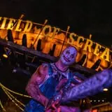 Field of Screams