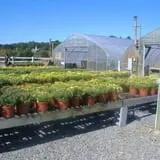 May's Farm Pumpkin & Hayrides photo