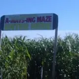 May's Farm Pumpkin & Hayrides photo