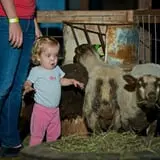 Staheli Family Farm photo