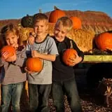 Staheli Family Farm photo