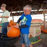 Staheli Family Farm photo