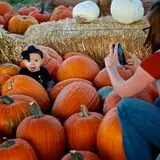 Staheli Family Farm photo