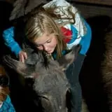 Staheli Family Farm photo