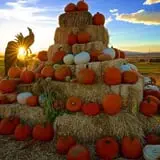 Staheli Family Farm photo