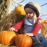 Cider Hill Farm photo