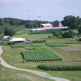 Cider Hill Farm photo