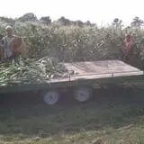 Cider Hill Farm photo