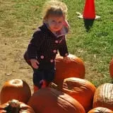 Cider Hill Farm photo