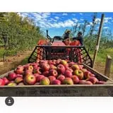 Cider Hill Farm photo
