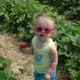 Cider Hill Farm photo