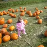 Cider Hill Farm photo