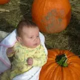 Cider Hill Farm photo