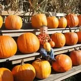 Cider Hill Farm photo