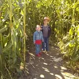 Cider Hill Farm photo