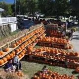 Cider Hill Farm photo