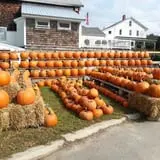 Cider Hill Farm photo
