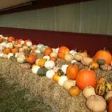 Cider Hill Farm photo
