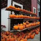 Cider Hill Farm photo