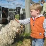 Cider Hill Farm photo